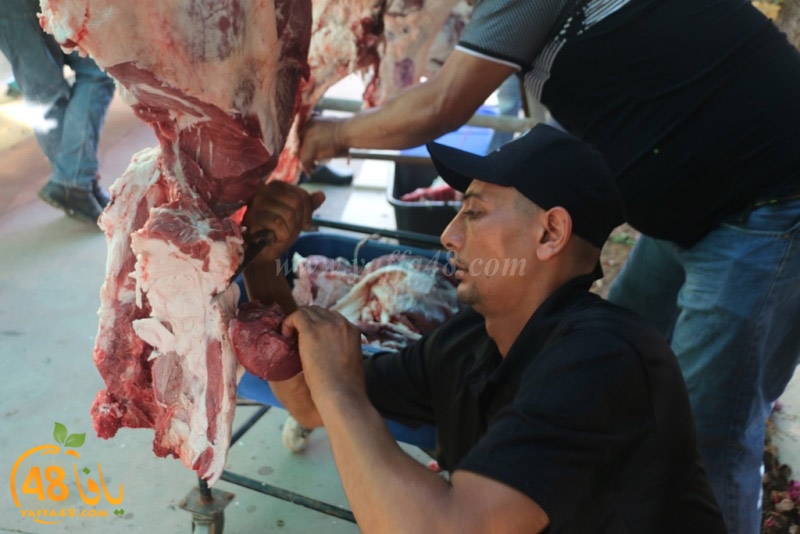 lod8om ada73y (80).JPG